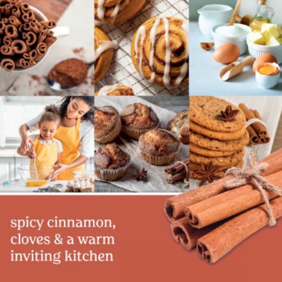 Large YANKEE CANDLE Cinnamon Stick 22 oz - Picture 2 of 12